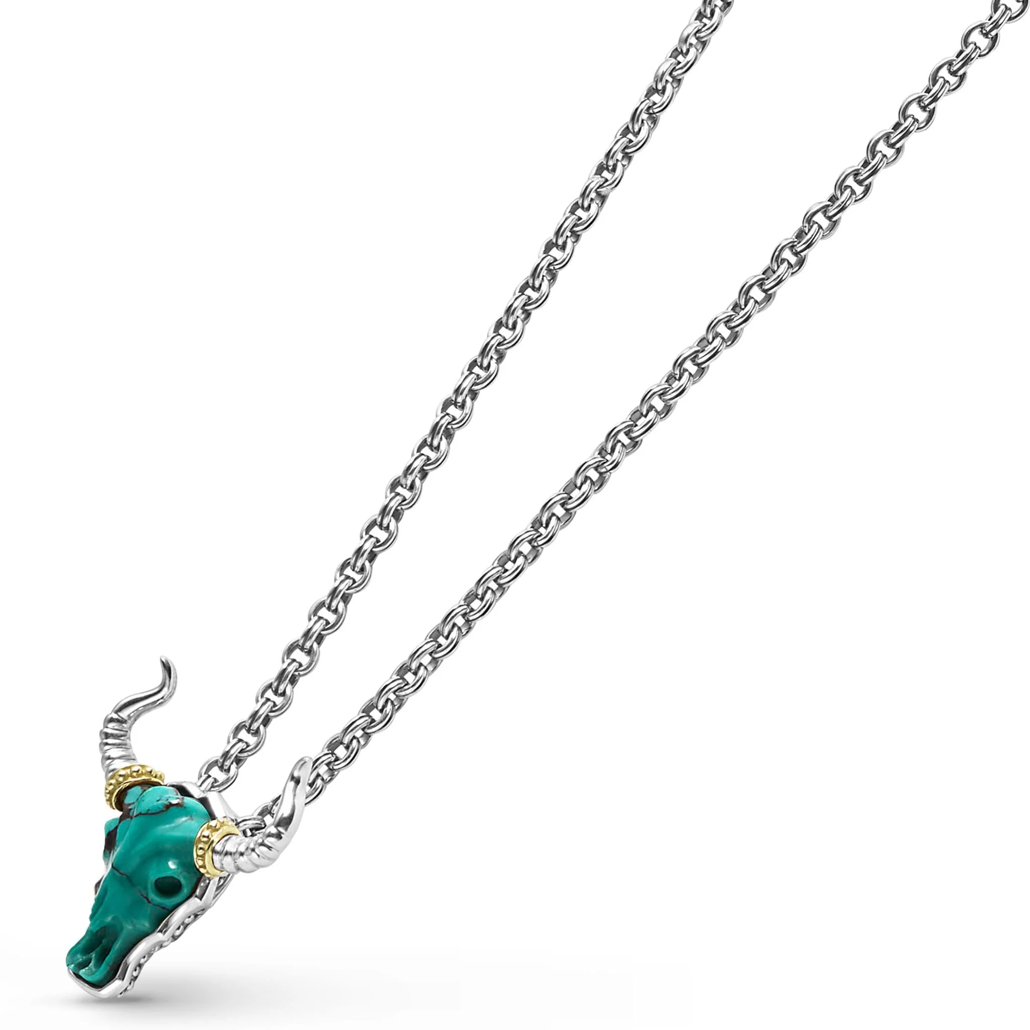 Anthem Turquoise Long Horn Amulet Necklace - Image 4